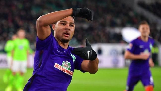 极向上的环 极向上的环