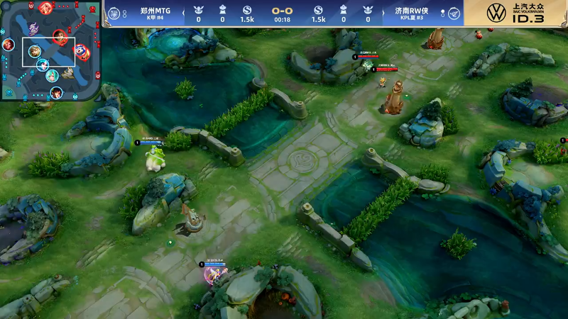 的女子篮球 的女子篮球